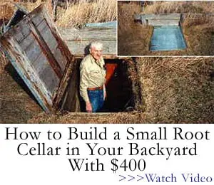 easy cellar book